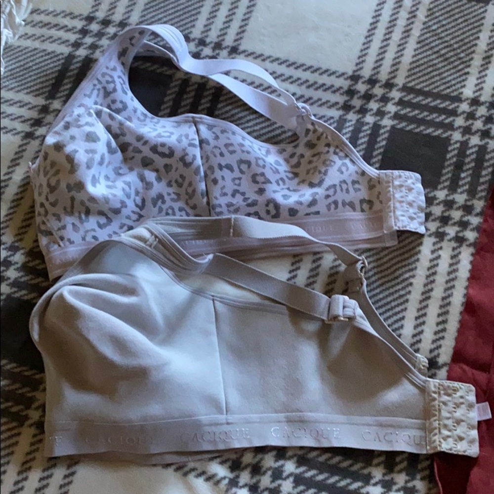 Lane Bryant bras.